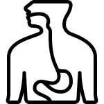Respiratory 